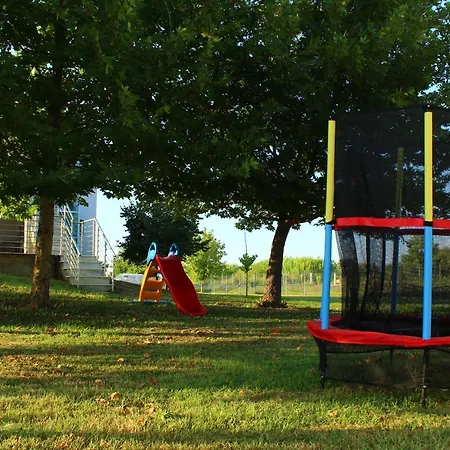 Diamond κουρούτα αμαλιαδος * Amaliada